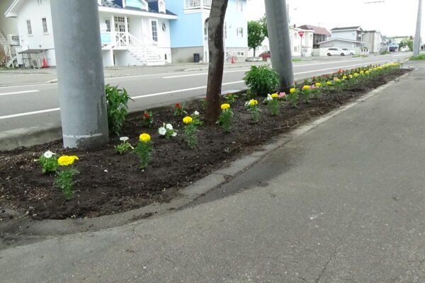 地域貢献活動報告です